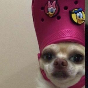 Meet your Posher, Eric